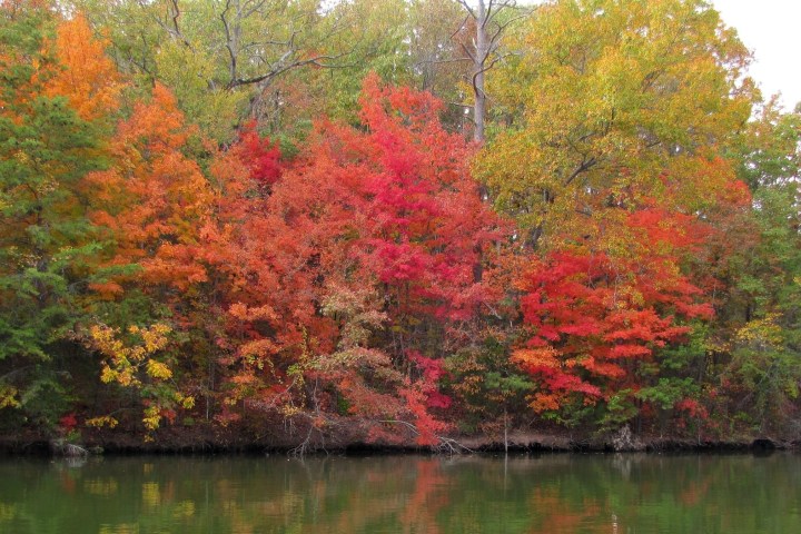 Cave bluff during autumn near Sturgeon Bay, Wisconsin